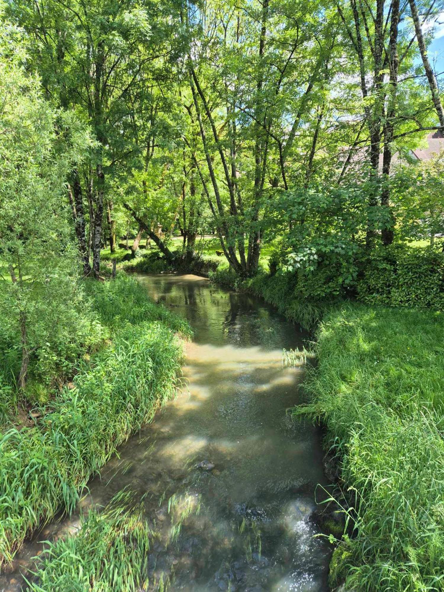 Au Lavoir Du Serein "La Billaude" Et "La Langouette" Saint-Germain-lès-Arlay Kültér fotó